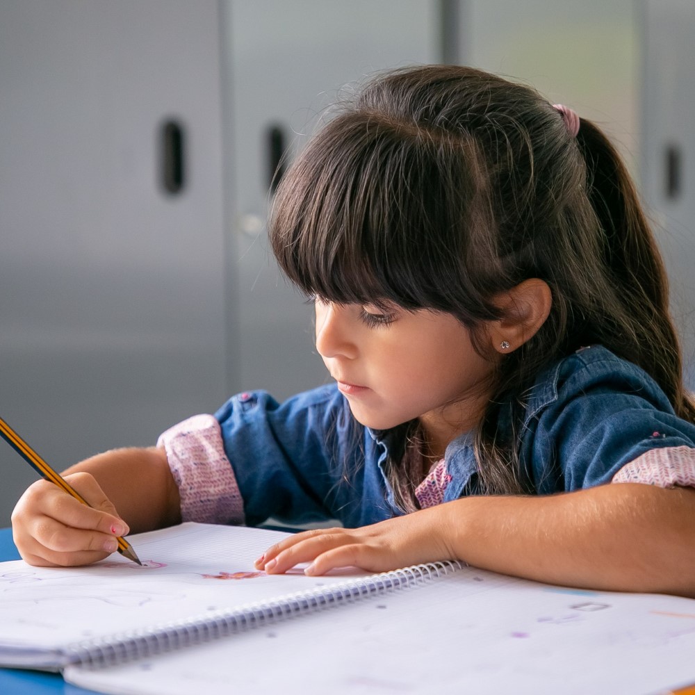 Overview Reference Image